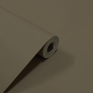 Papel de Parede Liso Marrom PDL6059