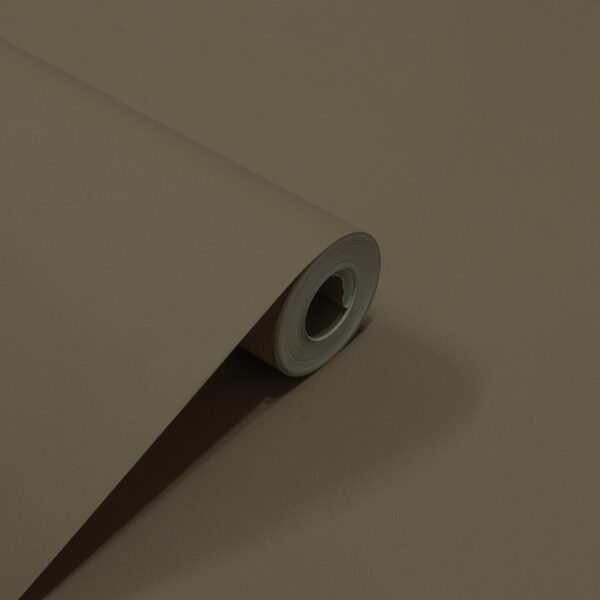 Papel de Parede Liso Marrom PDL6059