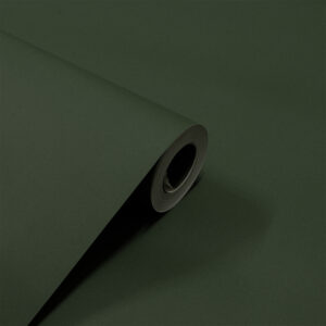 Papel de Parede Liso Verde Escuro PDL6054