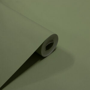 Papel de Parede Liso Verde Claro PDL6055