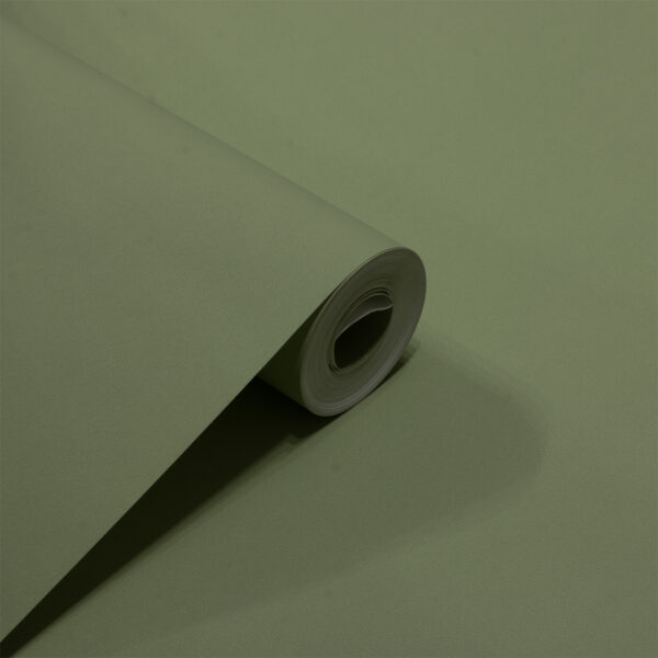 Papel de Parede Liso Verde Claro PDL6055